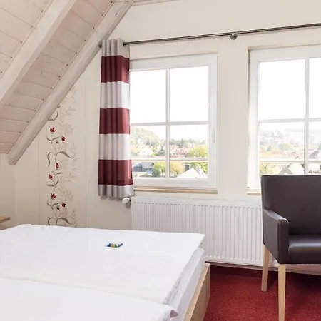 Hotel-restaurant Straussen Hotel Harburg (Bavaria)