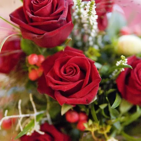 Hotel Hotel-restaurant Straussen 3*