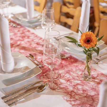 Hotel Hotel-restaurant Straussen