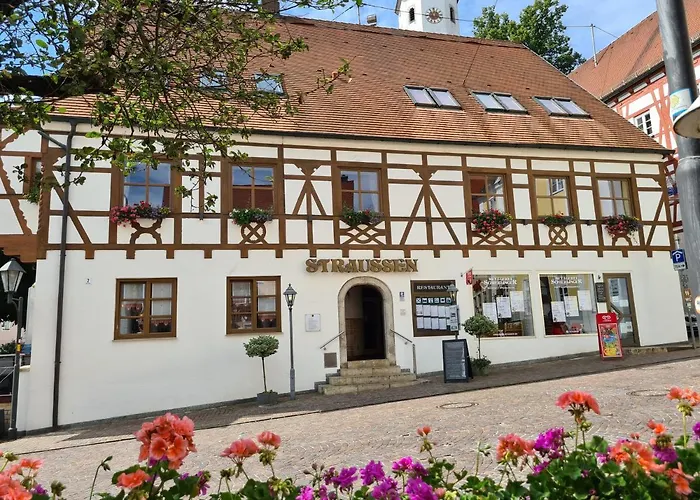 Hotel-restaurant Straussen Отель 3*