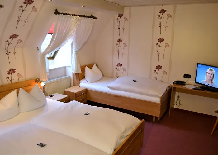 Отель Hotel-restaurant Straussen 3*