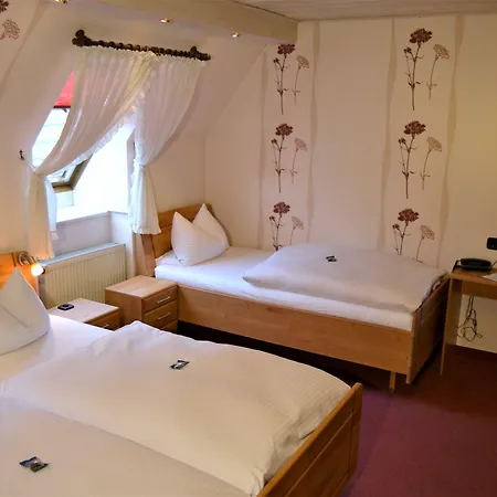 ホテル Hotel-restaurant Straussen 3*