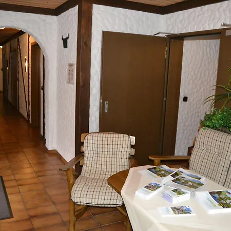 Hotel Hotel-restaurant Straussen