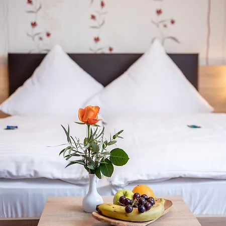 Hotel-restaurant Straussen Hotel 3*