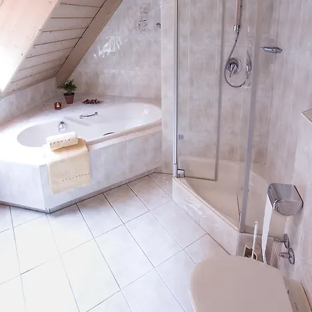 Hotel-restaurant Straussen 3* Harburg (Bavaria)