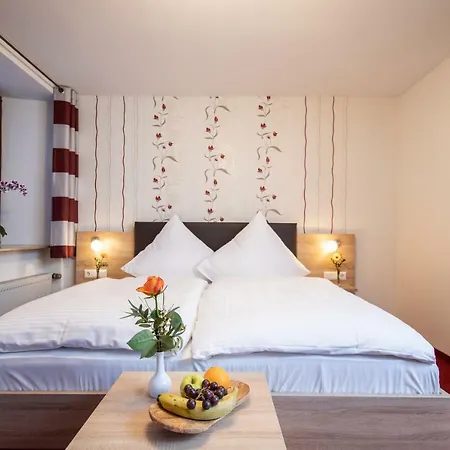 Hotel-restaurant Straussen 3*