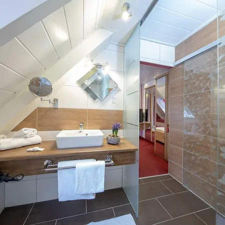 Hotel-restaurant Straussen Hotel Harburg (Bavaria)