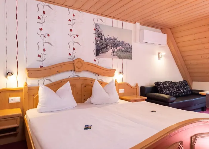 Hotel-restaurant Straussen 3* Harburg (Bavaria)