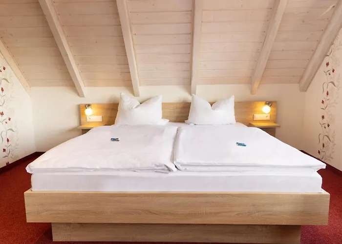 Hotel Hotel-restaurant Straussen 3*
