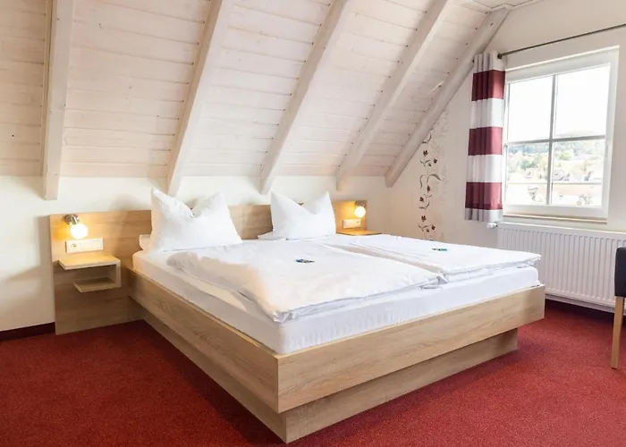Hotel-restaurant Straussen 3* Harburg (Bavaria)