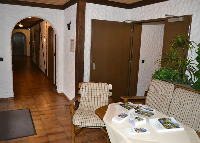 Hotel Hotel-restaurant Straussen