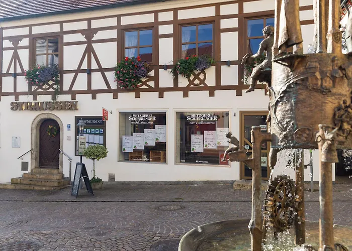 Hotel Hotel-restaurant Straussen