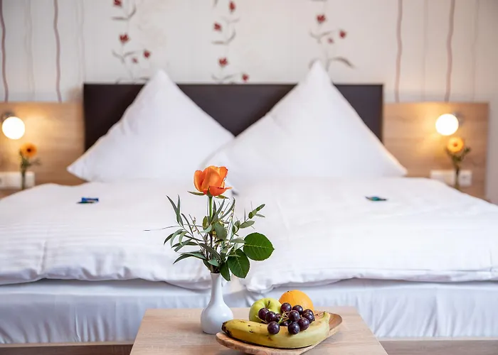 Hotel-restaurant Straussen Hotel 3*