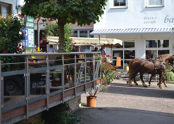 Hotel-restaurant Straussen 3* Harburg (Bavaria)